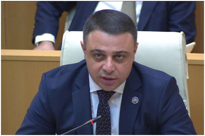 როგორც ჩანს, სალომე ზურაბიშვილი „ნაციონალური მოძრაობის“ ბულინგის ქვეშ მოექცა-ღუდუშაური