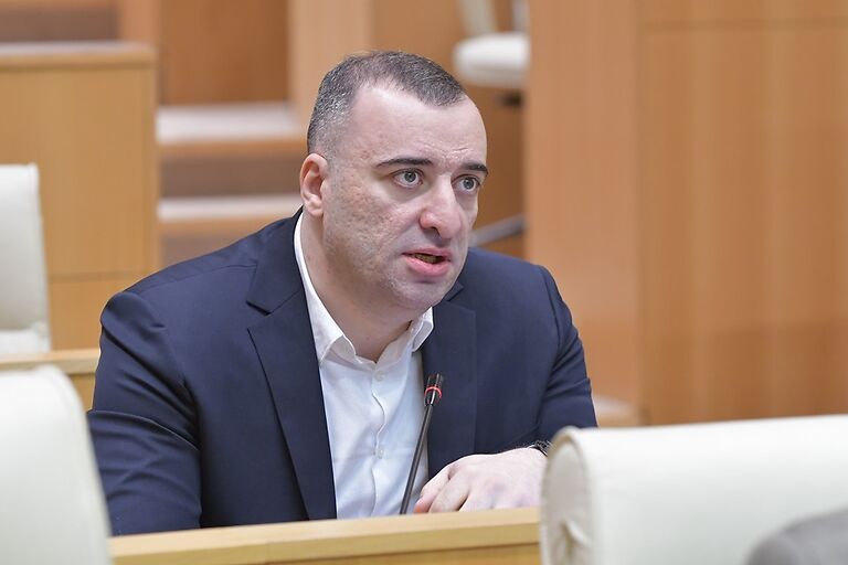 რადიკალური ოპოზიციის მიზანია, რამენაირად ხელი შეუშალონ 12 პუნქტის შესრულებას-რატი იონათამიშვილი