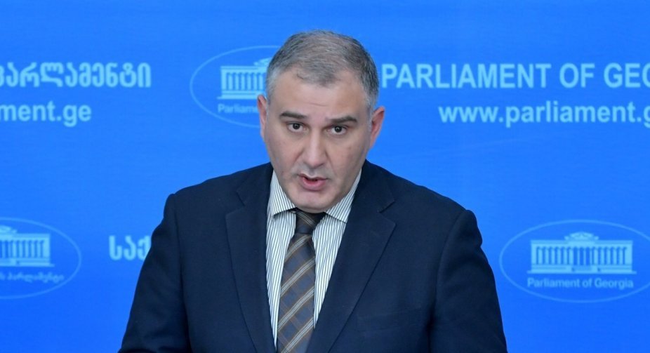 მიხეილ სარჯველაძე - არ მგონია, რომ ხელისუფლების რომელიმე წარმომადგენლის მხრიდან მოხდა აშშ-ის ელჩზე თ