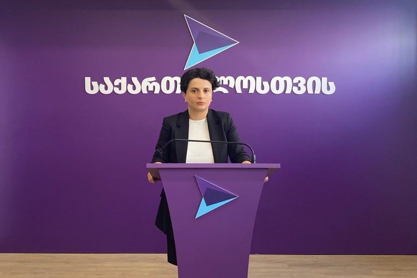 ნათია მეზვრიშვილი - სენაკში ცესკო-მ იმოქმედა ხელისუფლების ინტერესით, რაც მიზანმიმართულად აზიანებს სა