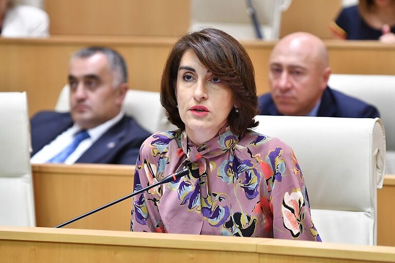მაკა ბოჭორიშვილი - რადიკალიზაციის გზას დამდგარო კოლეგებო, ეს არ არის „ქართული ოცნების“ ოპონირება, ეს