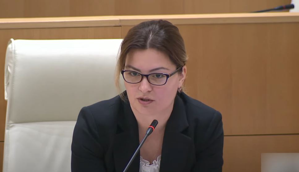 ანა ნაცვლიშვილმა ნინო ლომჯარიას მიმართა - მადლობა, რომ უმრავლესობა ფორმაში მოიყვანეთ, ასეთი მობილიზე