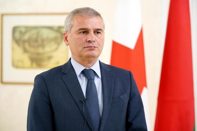 ირაკლი ქადაგიშვილი - ევროპარლამენტარების ზოგიერთ ჯგუფს არ აქვს შეკითხვა, კეზერაშვილს საიდან აქვს ეს 
