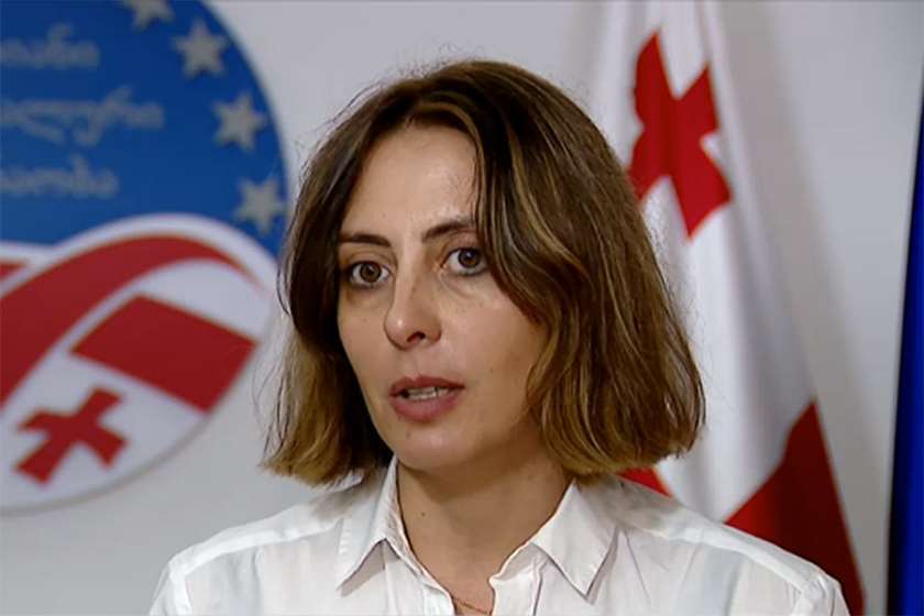 ხატია დეკანოიძე - მიხეილ სააკაშვილის ჯანმრთელობის მდგომარეობით სპეკულაციებს თავი დაანებონ