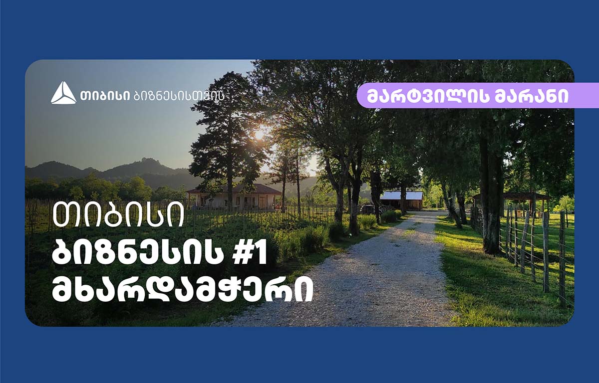 „მარტვილის მარანი“ - მეგრული ღვინის ახალი სიცოცხლე