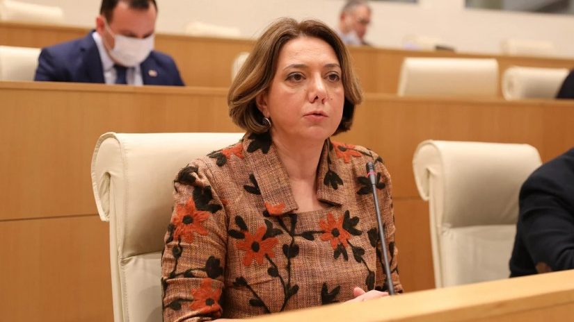 სალომე სამადაშვილი - პრეზიდენტის შეფასება ხელისუფლების მიმართ სრულიად ადეკვატურია