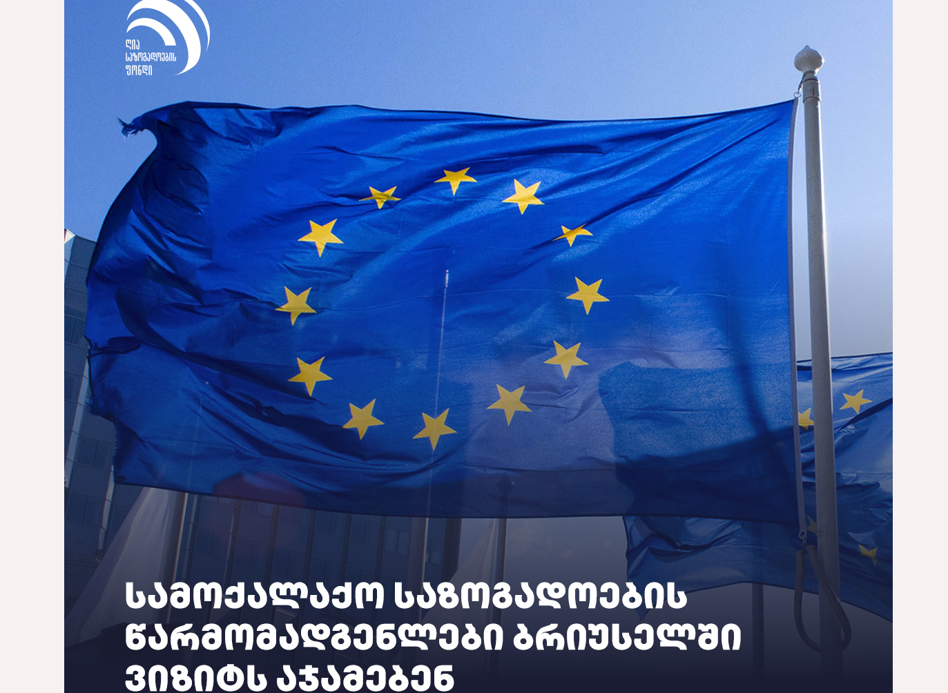არასამთავრობო ორგანიზაციები - მმართველი პარტიისგან განსხვავებით, ბრიუსელში არ მიიჩნევენ, რომ 12 პრიო