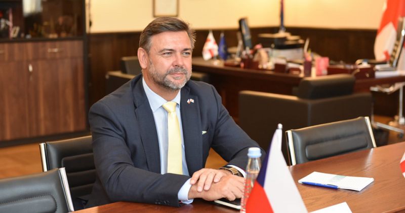ჩეხეთის ელჩი - ძალადობა მიუღებელია საზოგადოებისთვის, მკაცრად ვგმობთ ამ ფაქტს და ვიმედოვნებ, ბატონი ჯ