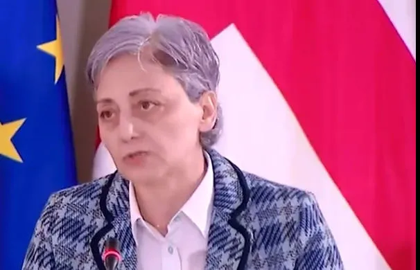 მაია კოპალეიშვილი - დასკვნა არის ტენდენციური, საკონსტიტუციო სასამართლო მთლიანად შევიდა პოლიტიკურ პრო