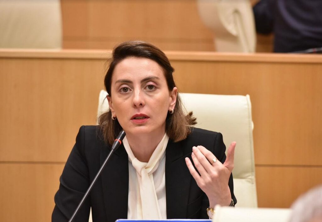 ხატია დეკანოიძე „ქართულ ოცნებას“ - თქვენ ხართ ადამიანები, რომლებსაც არავითარი პრინციპი კი არა, თავმო