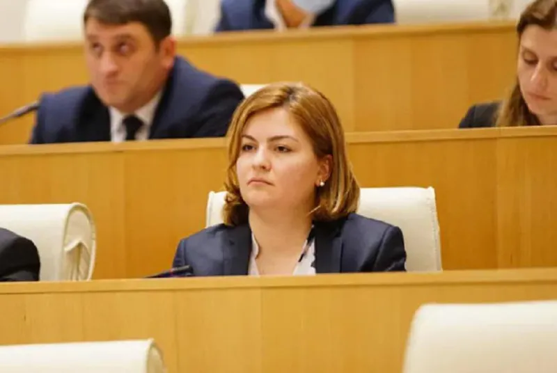 ანა ნაცვლიშვილი - ხელისუფლება მანიპულირებს და ცდილობს ევროკავშირის დირექტივის საფარქვეშ რეპრესიული მ