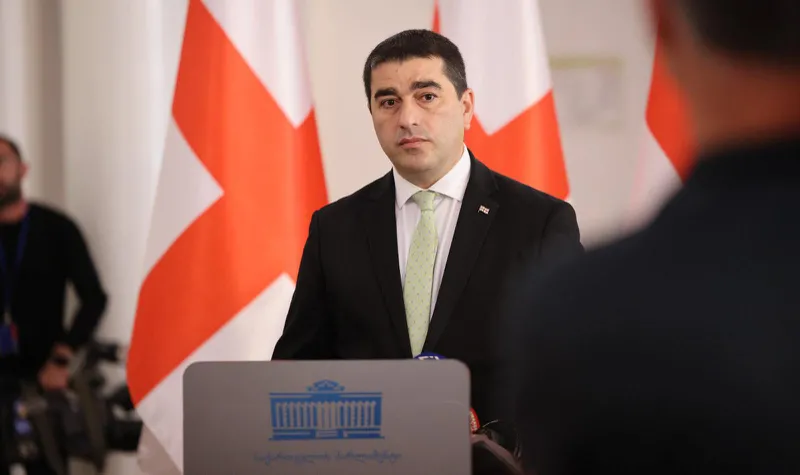 შალვა პაპუაშვილი „მაუწყებლის შესახებ“ კანონში ცვლილებებზე - არ მგონია, გონივრული იყოს ევროკავშირზე ვ