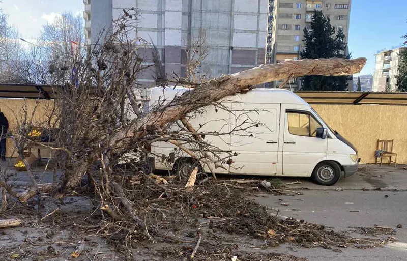 ძლიერმა ქარმა დედაქალაქში პრობლემები შექმნა - წაქცეული ხეები რამდენიმე ავტომობილს დაეცა და დააზიანა,