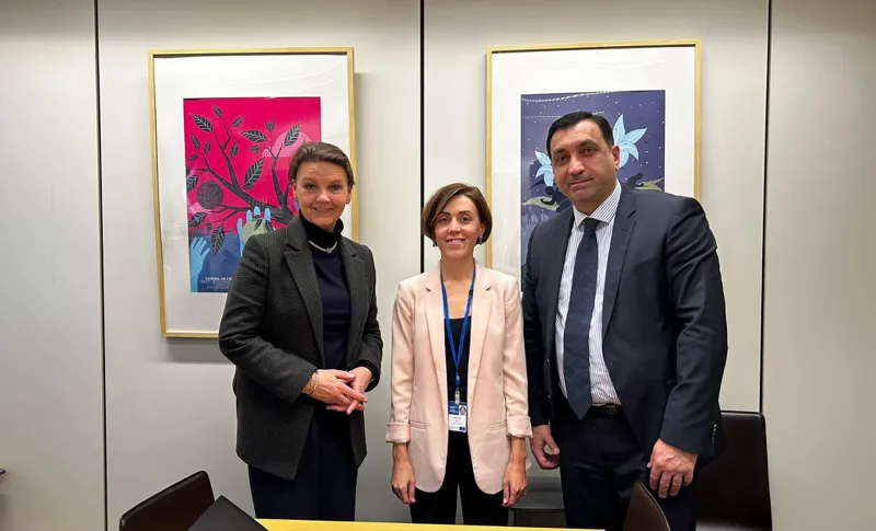 ლევან ბეჟაშვილი და ანა წითლიძე ნორვეგიის პარლამენტის წევრს და PACE - ნორვეგიის დელეგაციის ხელმძღვანე