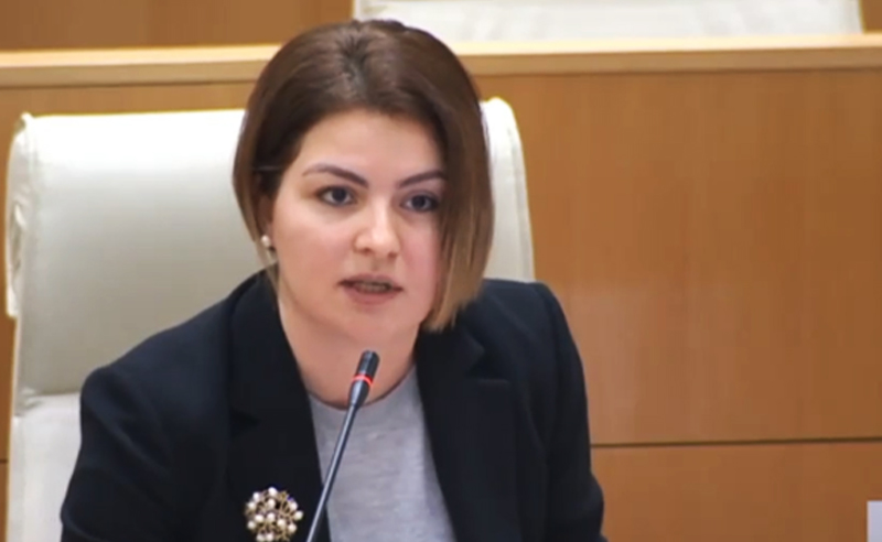ანა ნაცვლიშვილი - რამდენი მესაჭეც არ უნდა გამოიცვალოს „ოცნებამ“, ეს გემი რუსული მიმართულებით მიდის